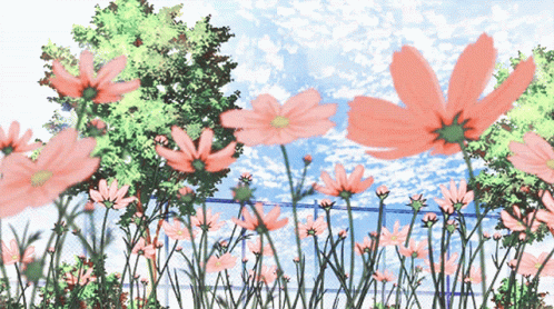 Pink Daisies Anime Flower GIF
