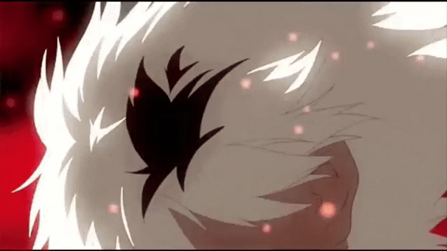 Zxc Cat Gif 
