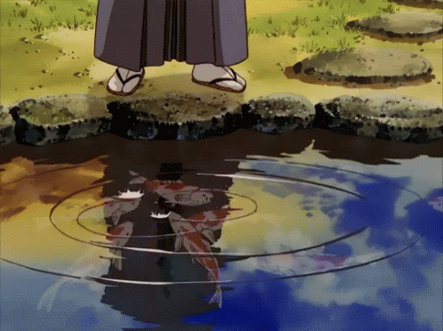 Anime Koi Fish Feeding GIF