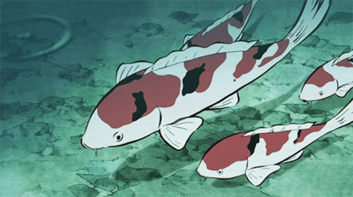 Anime Koi Fish Waiting GIF