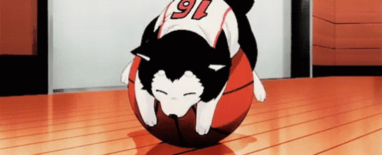 Anime Kurok Cute Dog Sleeping Basketball Court GIF