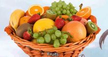Anime Orange Fruit Basket GIF