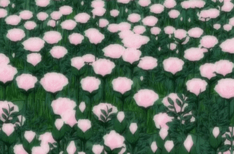 Anime Pink Flower Field GIF
