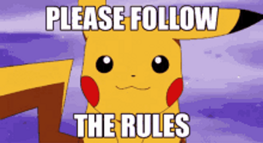 Anime Pokemon Pikachu Please Follow The Rules GIF