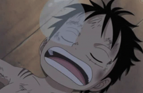 Anime Sleep Luffy GIF