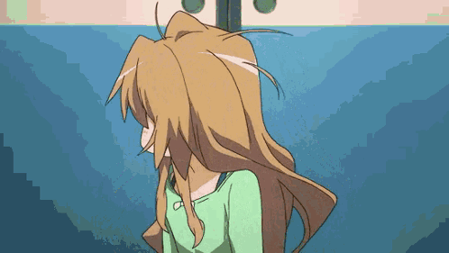 Anime Sleep Taiga Aisaka GIF