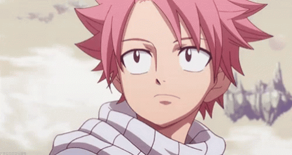 Anime Smile Natsu Dragneel Fairy Tail GIF
