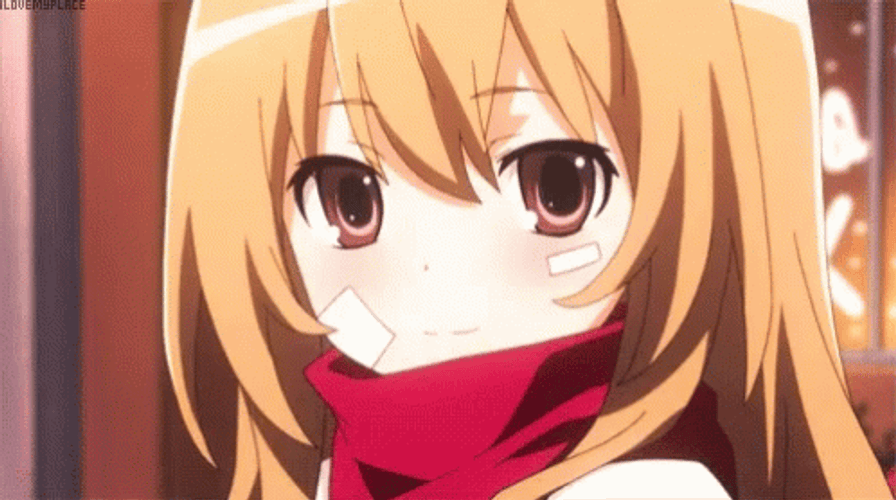 Anime Smile Taiga Aisaka Toradora GIF
