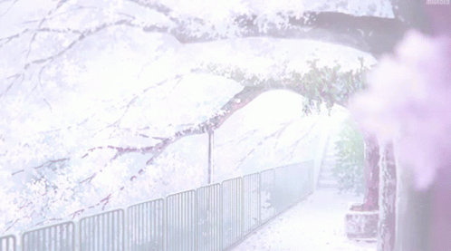Anime Snow During Winter Sakura Season GIF