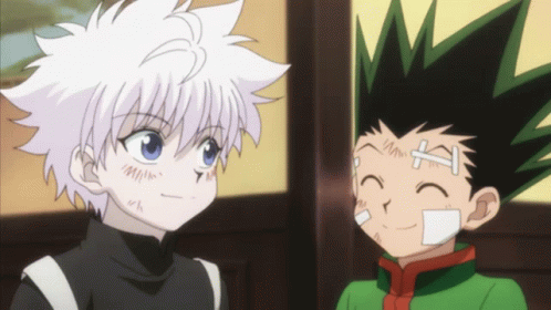 Anime Transition Killua Zoldyck And Gon Freecss Trainee Journey GIF