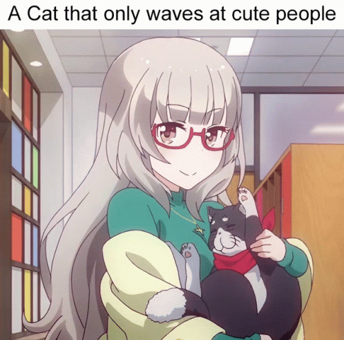 Anime Wave Of Shizuku Hazuki While Carrying Cat GIF