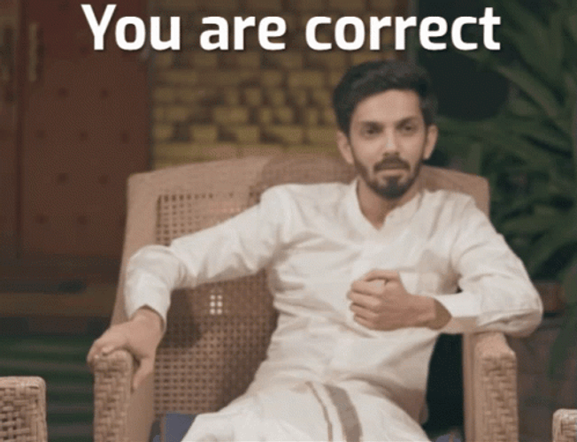 Anirudh Ravichander You Are Correct GIF