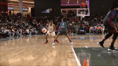 Ankle Breakers Erica Wheeler And Queen Egbo GIF