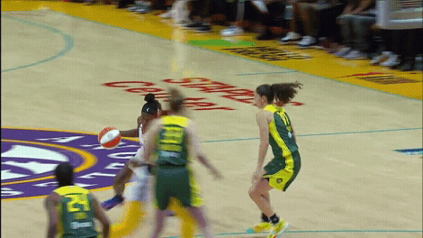 Ankle Breakers Erica Wheeler And Sue Bird GIF