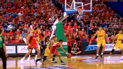 Ankle Breakers Perth Wildcats Bryce Cotton GIF