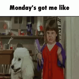 Annoyed On Monday Meme GIF