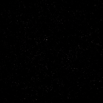 Año Nuevo 350 X 350 Gif GIF