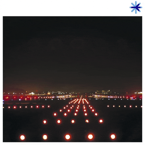 Año Nuevo 480 X 480 Gif GIF