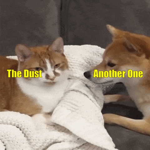 Anotha One Shiba Inu GIF