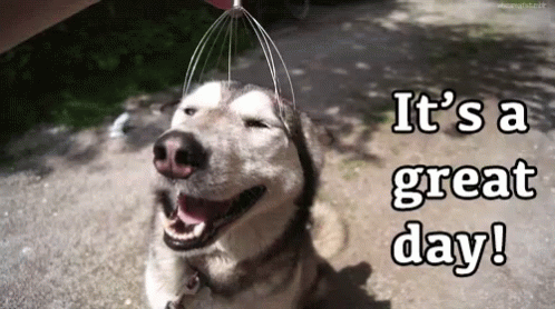Another Monday Is Dogs Great Day GIF