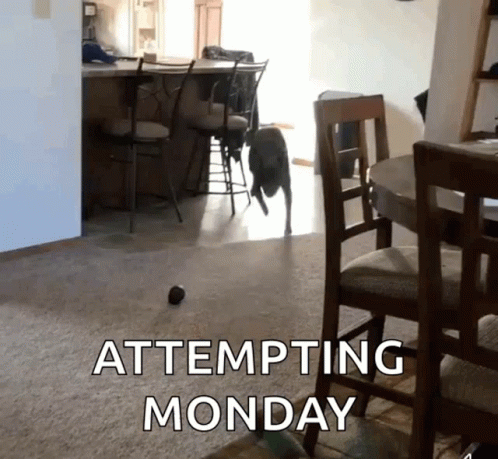Another Monday Of Attempting To Jump GIF