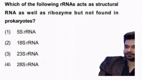 Answer The Biology Question GIF