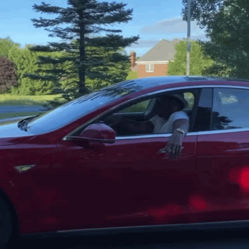 Anthony Adams Funny Descent From His Car GIF