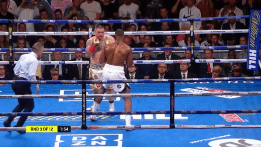 Anthony Joshua And Andy Ruiz Boxing GIF
