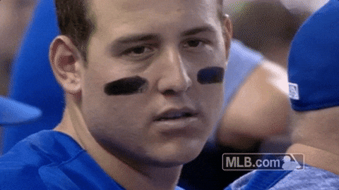 Anthony Rizzo Chicago Cubs Weak Smile GIF