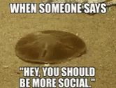Anti Social Be More Social GIF