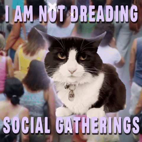 Anti Social Cat Gatherings Dreading GIF