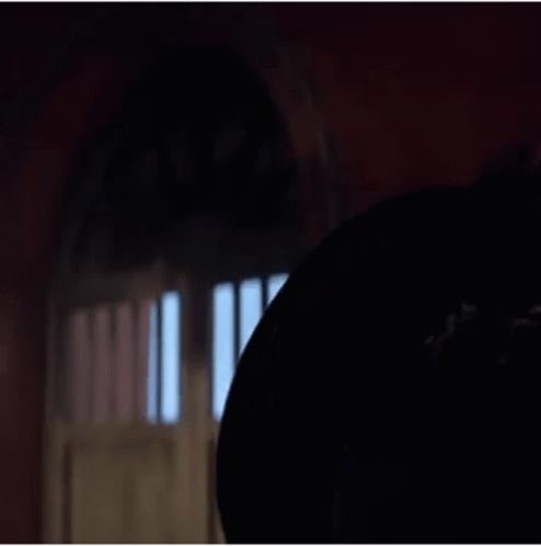 Antonio Banderas And Catherine Zeta Jones GIF