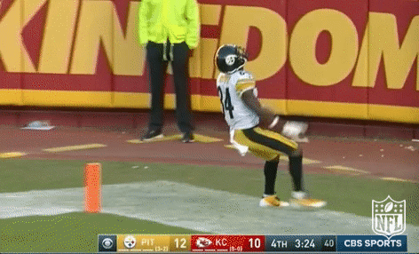 Antonio Brown Touchdown Pittsburgh Steelers GIF
