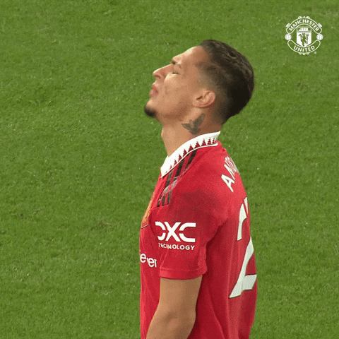 Antony Dos Santos Upset Face Palm GIF
