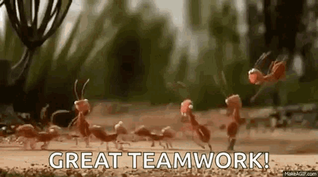 Ants Great Teamwork GIF