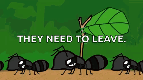 Ants Next to a Tree Saying They Need to Leave