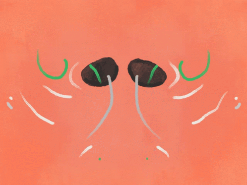 Anxiety Breathing 498 X 373 Gif GIF