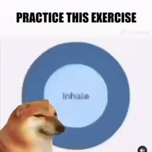 Anxiety Breathing Dog Doing Breathing Exercise GIF