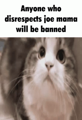 Anyone Who Disrespect Joe Mama Will Be Banned GIF