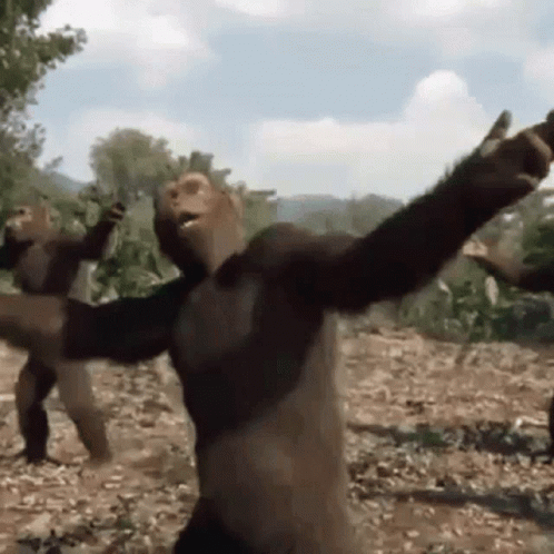 Ape Gorilla Dancing GIF