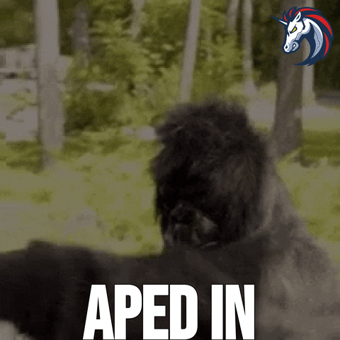 Ape Monkey Dancing Meme GIF