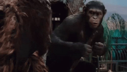 Apes Together Strong Planet Of The Apes GIF