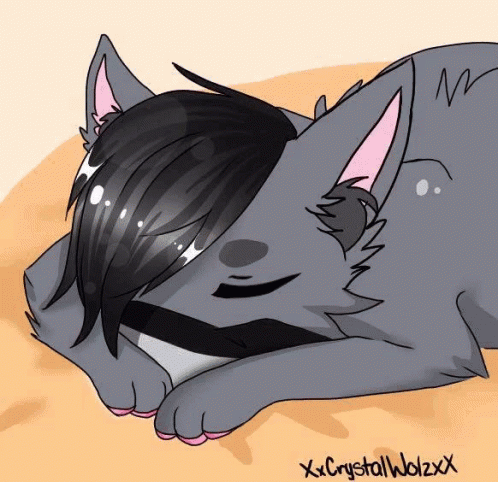 Aphmau Zane Cat Sleeping GIF