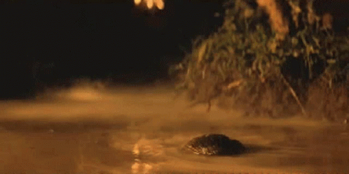 Apocalypse Now Scene Sneaking Enemy Base GIF