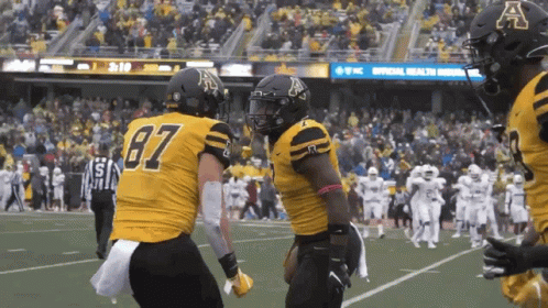 Appalachian App State Football GIF
