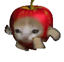 Apple Apple Cat Sticker GIF