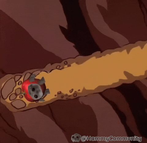 Apple Cat Spinning Deep On The Ground GIF