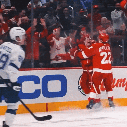 Appleton Hugging Another Hockey Player GIF