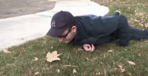 Appreciating Maple Leaf On The Ground GIF