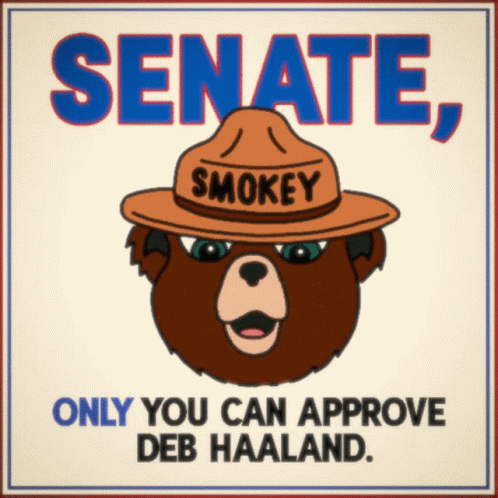 Approve Senate Haaland Bear Cartoon GIF